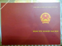 ảnh đính kèm của gia sư