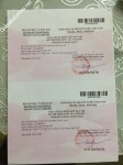 ảnh đính kèm của gia sư