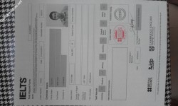 ảnh đính kèm của gia sư