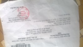 ảnh đính kèm của gia sư