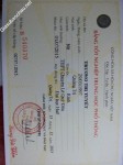 ảnh đính kèm của gia sư