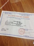 ảnh đính kèm của gia sư