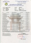 ảnh đính kèm của gia sư