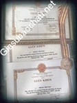 ảnh đính kèm của gia sư