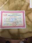 ảnh đính kèm của gia sư