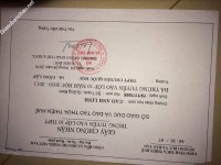ảnh đính kèm của gia sư