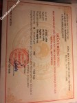 ảnh đính kèm của gia sư