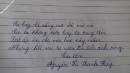ảnh đính kèm của gia sư