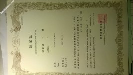 ảnh đính kèm của gia sư