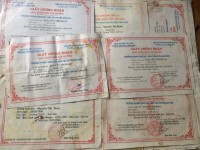 ảnh đính kèm của gia sư
