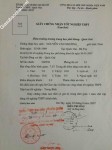 ảnh đính kèm của gia sư