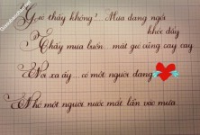 ảnh đính kèm của gia sư