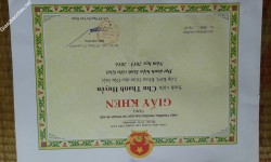 ảnh đính kèm của gia sư