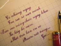 ảnh đính kèm của gia sư