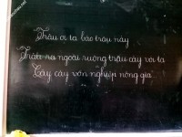 ảnh đính kèm của gia sư