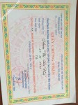 ảnh đính kèm của gia sư