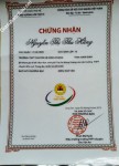 ảnh đính kèm của gia sư