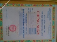 ảnh đính kèm của gia sư