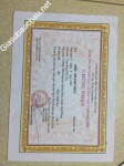 ảnh đính kèm của gia sư
