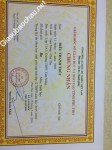 ảnh đính kèm của gia sư