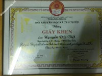 ảnh đính kèm của gia sư