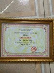 ảnh đính kèm của gia sư