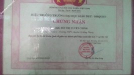 ảnh đính kèm của gia sư