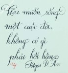 ảnh đính kèm của gia sư