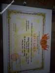 ảnh đính kèm của gia sư