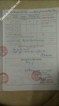 ảnh đính kèm của gia sư