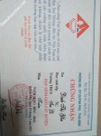 ảnh đính kèm của gia sư