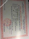ảnh đính kèm của gia sư