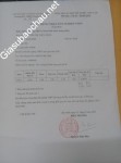ảnh đính kèm của gia sư