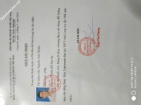 ảnh đính kèm của gia sư
