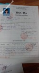 ảnh đính kèm của gia sư