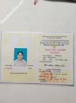 ảnh đính kèm của gia sư