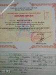 ảnh đính kèm của gia sư