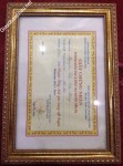 ảnh đính kèm của gia sư