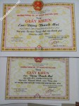ảnh đính kèm của gia sư