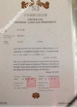 ảnh đính kèm của gia sư