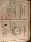ảnh đính kèm của gia sư