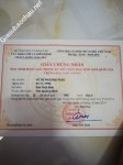 ảnh đính kèm của gia sư