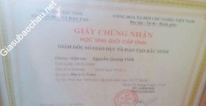 ảnh đính kèm của gia sư