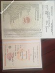 ảnh đính kèm của gia sư