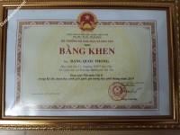 ảnh đính kèm của gia sư