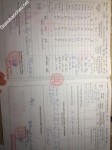 ảnh đính kèm của gia sư