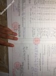 ảnh đính kèm của gia sư