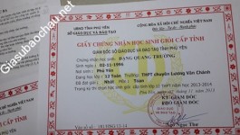 ảnh đính kèm của gia sư