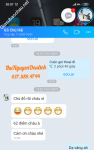 ảnh đính kèm của gia sư