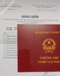 ảnh đính kèm của gia sư